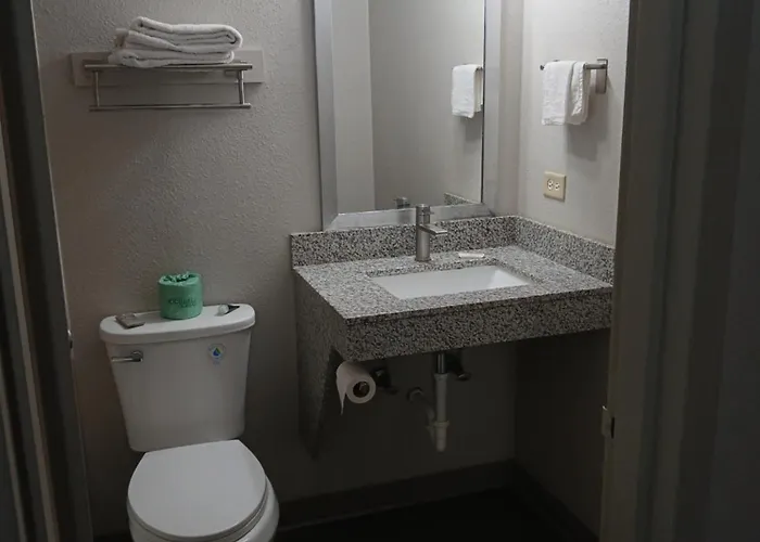 Chicago Area Hotel